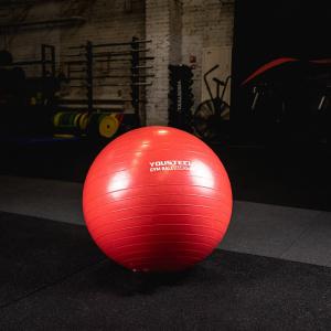 Купить Гимнастический мяч Yousteel Hard 55см в Абинске 